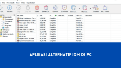 Aplikasi Alternatif IDM di PC