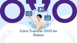 Cara Transfer OVO ke Gopay