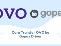 Cara Transfer OVO ke Gopay Driver, Cepat dan Dijamin Sampai!