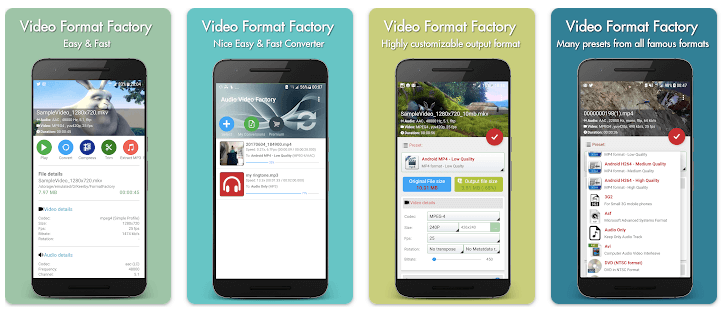 Video format factory